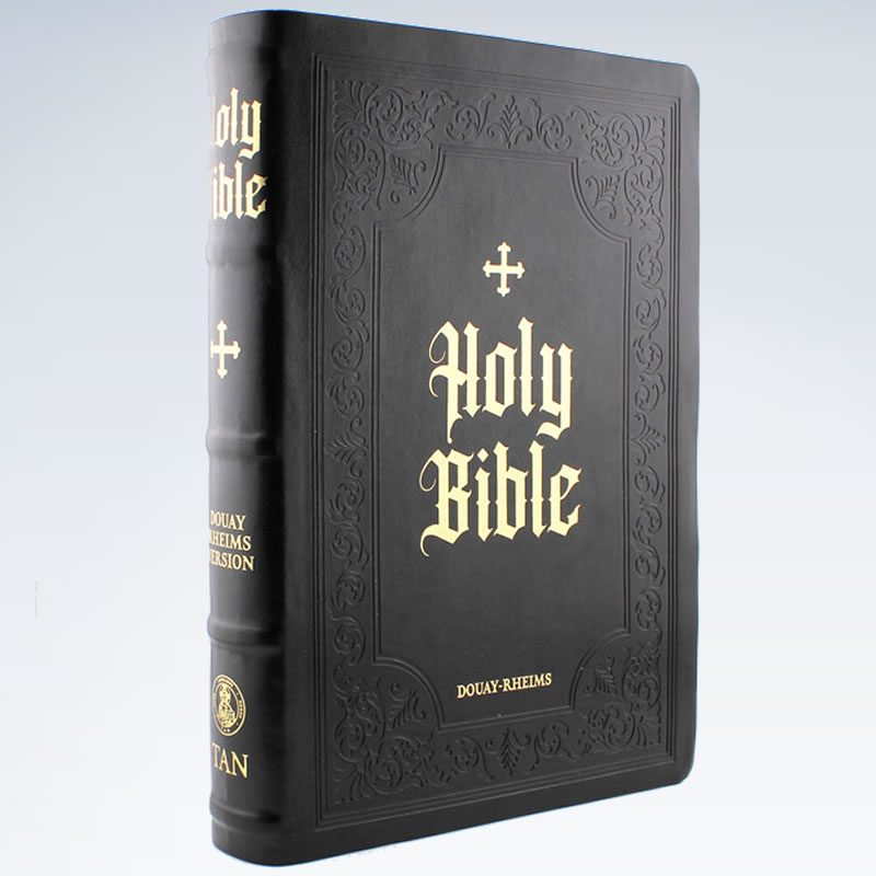 Douay-Rheims Bible Large Print Edition